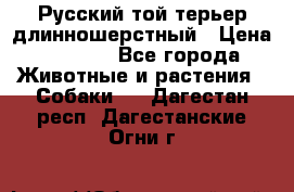 Русский той-терьер длинношерстный › Цена ­ 7 000 - Все города Животные и растения » Собаки   . Дагестан респ.,Дагестанские Огни г.